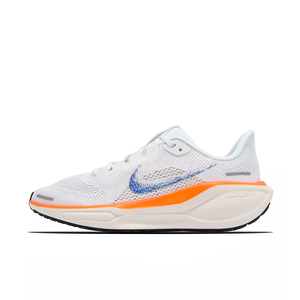 Nike Nike Pegasus 41 Blueprint (GS) - HM4820-100